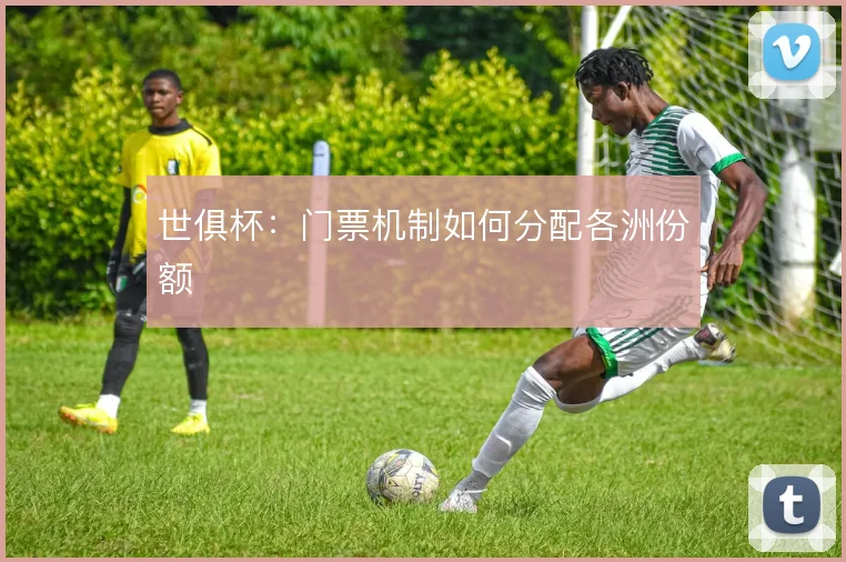 世俱杯：门票机制如何分配各洲份额