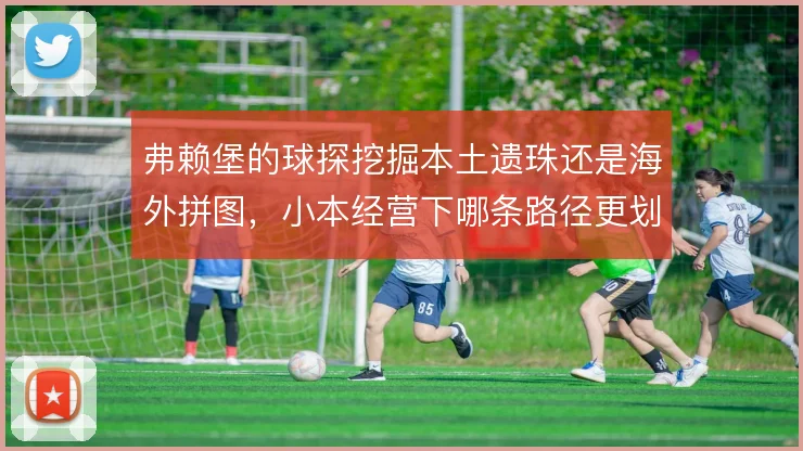 弗赖堡的球探挖掘本土遗珠还是海外拼图,小本经营下哪条路径更划算